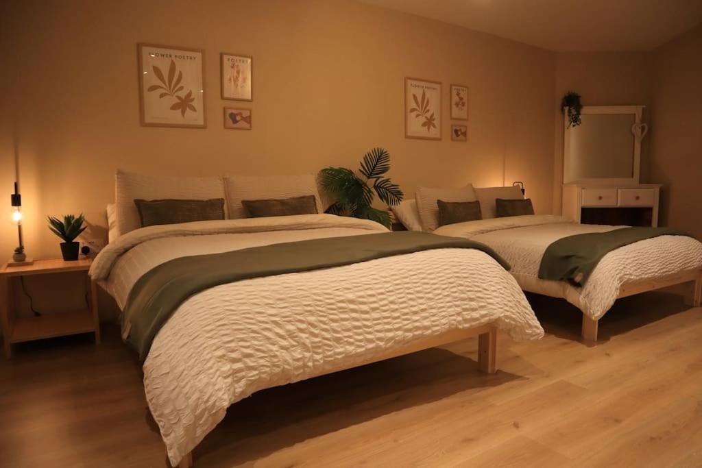 Modern Studio Apartment In Cashel Exterior foto